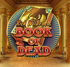 Book of Dead Vavada Online